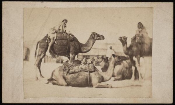 Unknown, Photograph