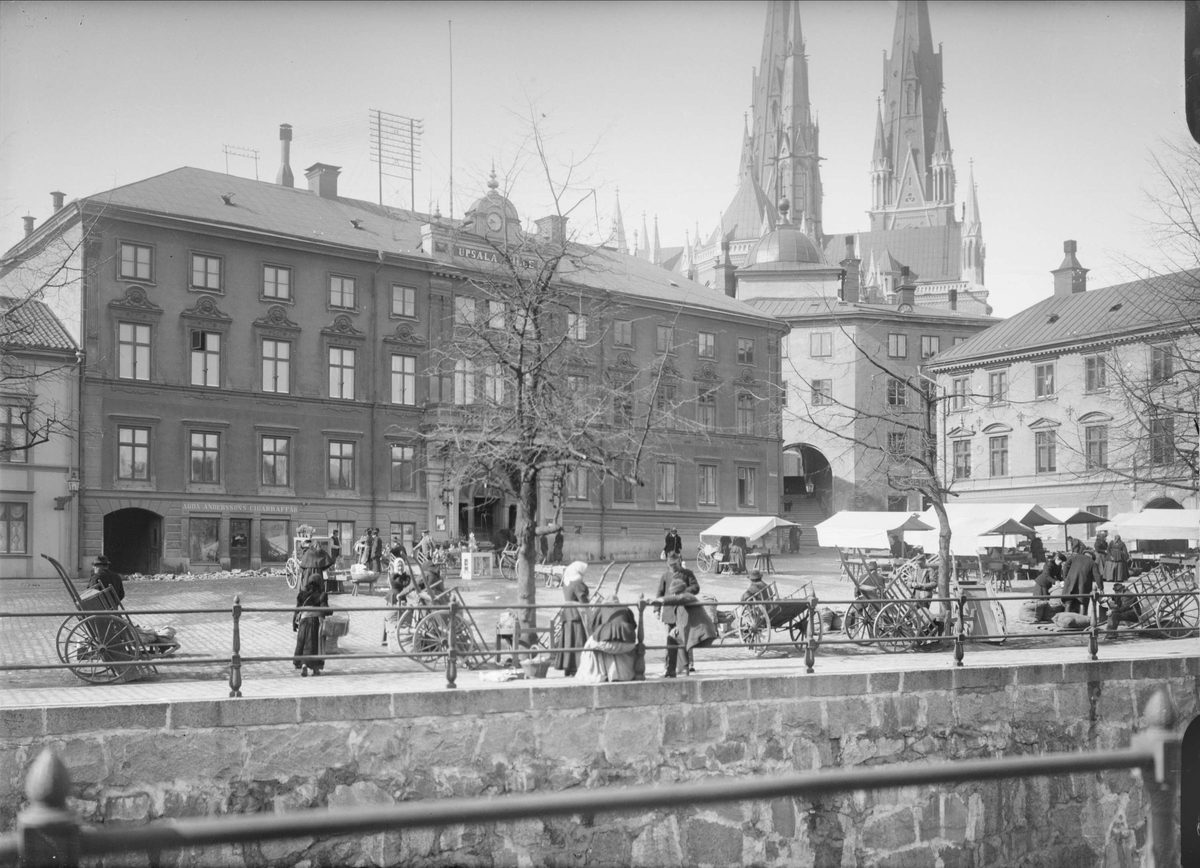 Alfred Dahlgren, Torghandel at Fyristorg in Uppsala 1901 - 1902