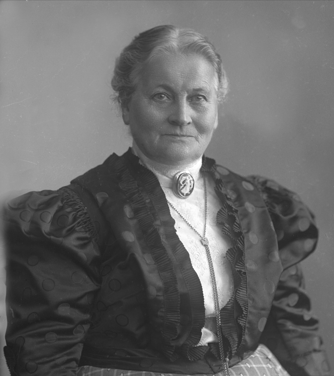 Gustav Borgen, NFB.29300