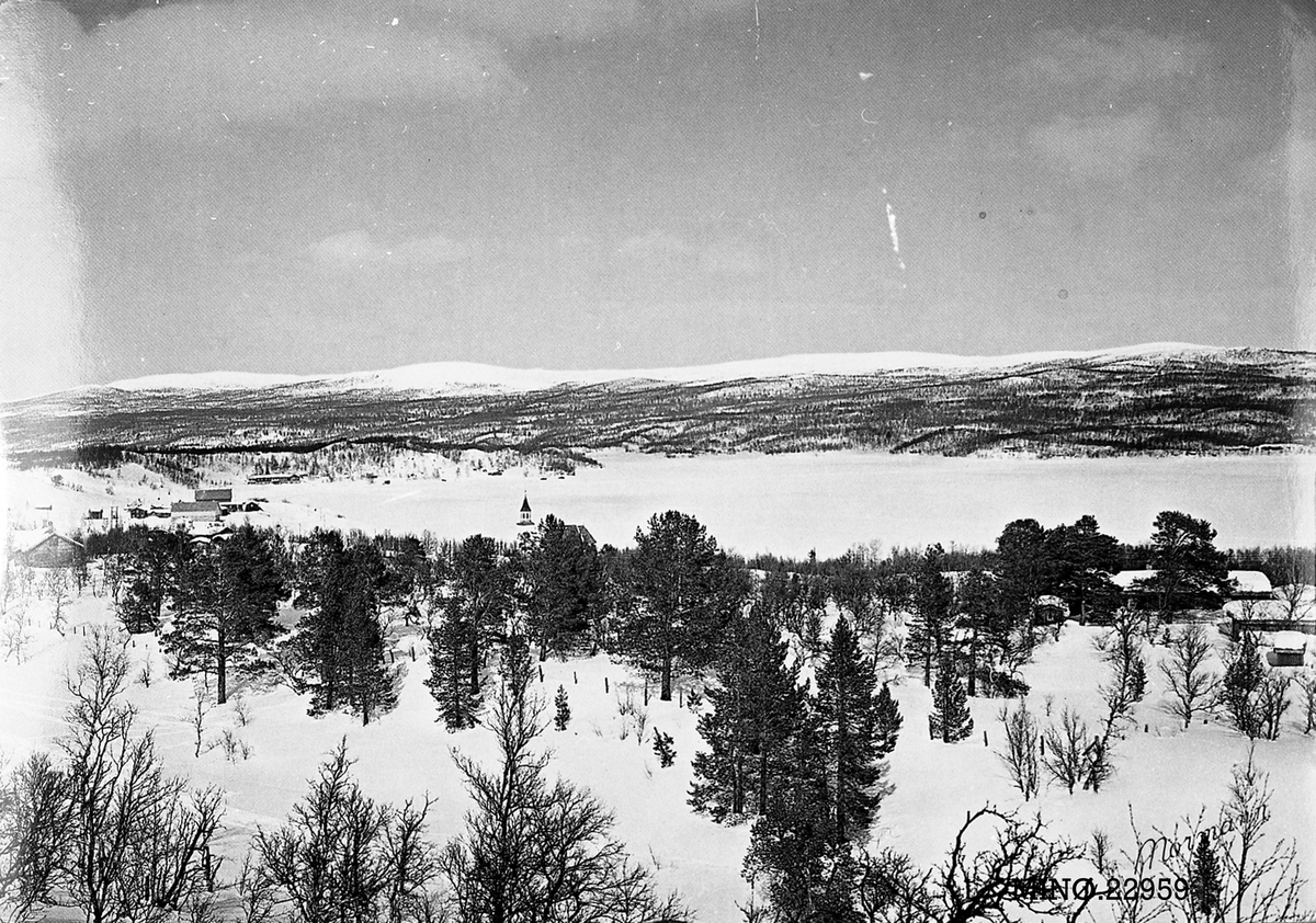 Carl Gustav Normann, Vinterbilde fra Narsjøen