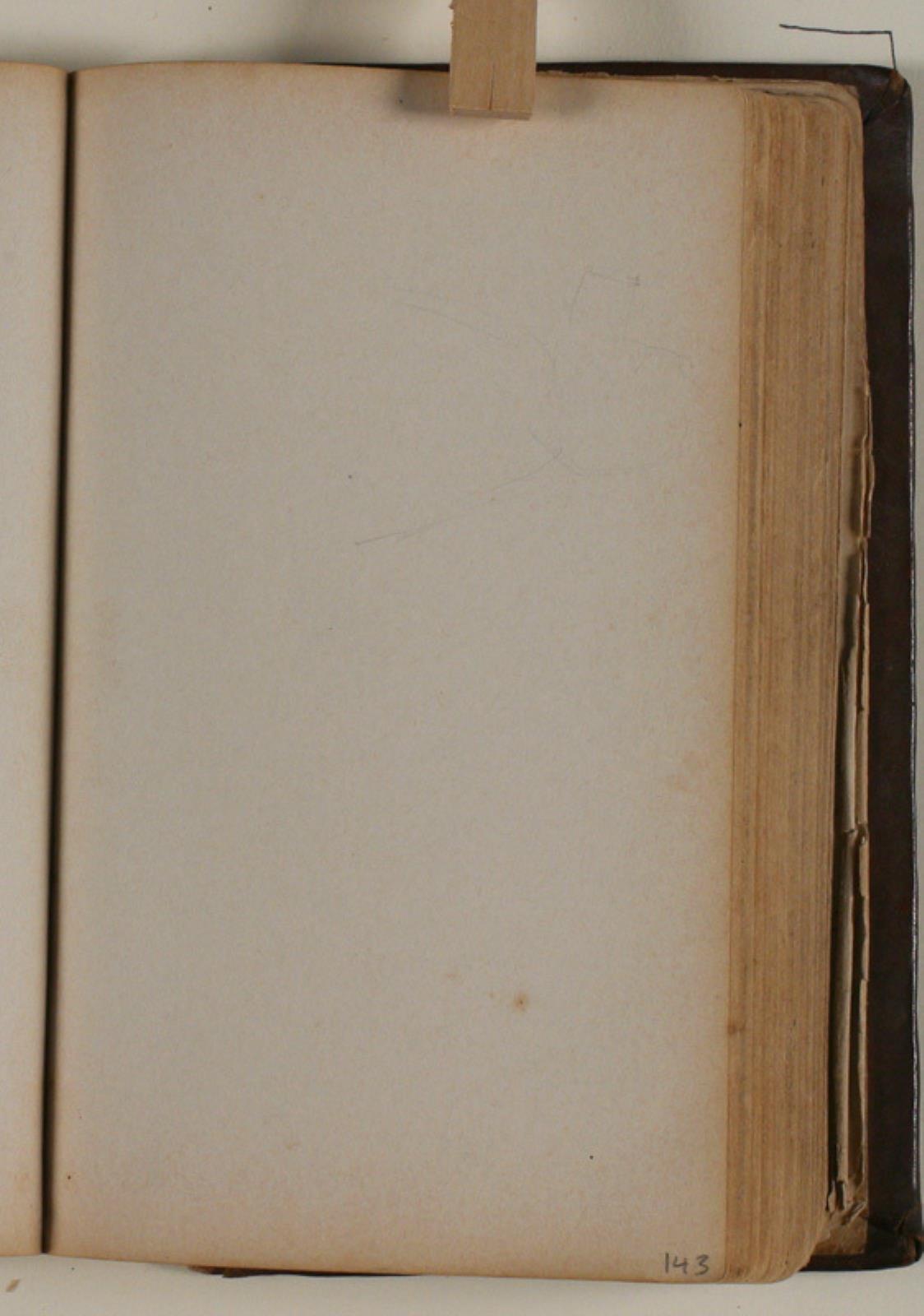Niels Larsen Stevns, Blank