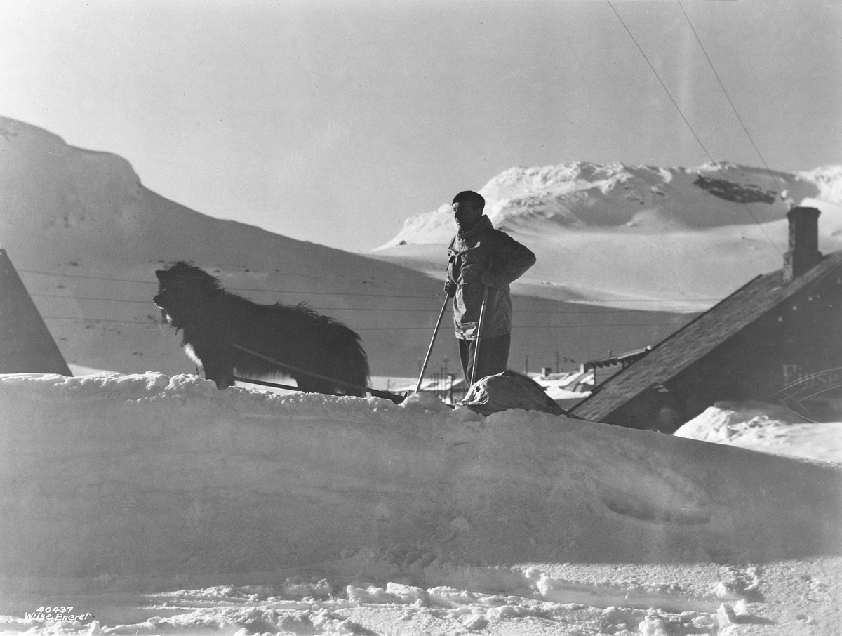 Anders Beer Wilse, Prot: Finse Jahre Konv: Anders Jahre med hund