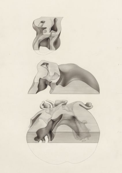J Tinkelenberg, Embryonic heart