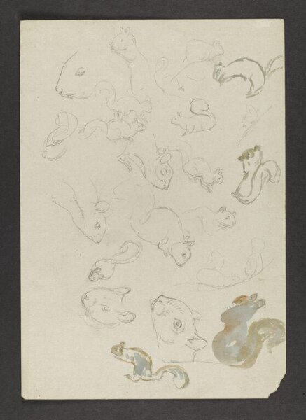 Potter, Beatrix, Drawing