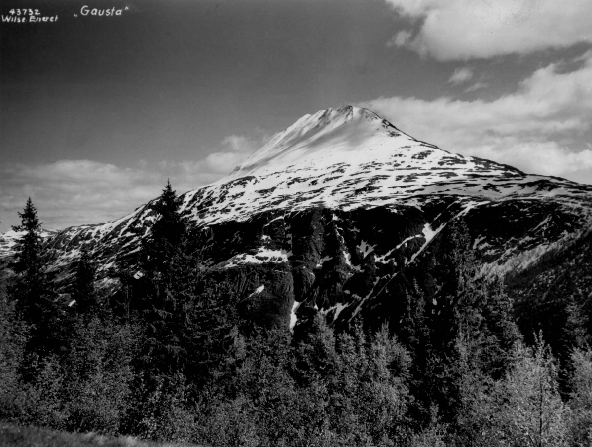 Anders Beer Wilse, Gaustatoppen med skog i forgrunnen. Snødekt fjell.