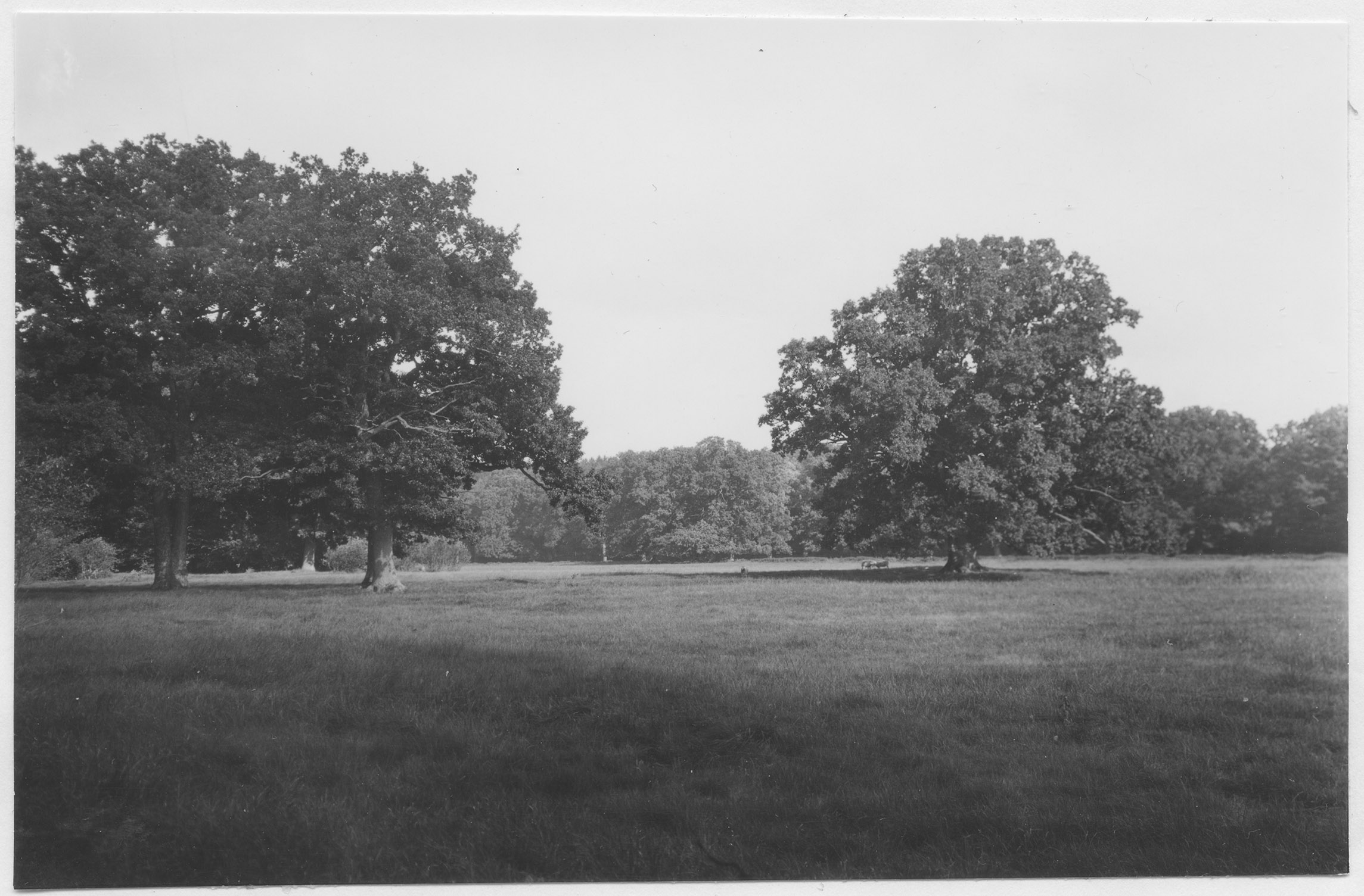 Mårten Sjöbeck, Övedsklosters slott, herrgårdslandskap
