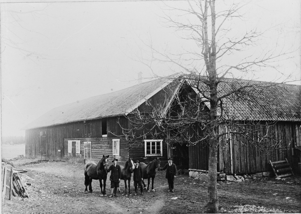 Skötsner-Edhlund, Tre män med varsin häst på stallbacken, Östhammar, Uppland