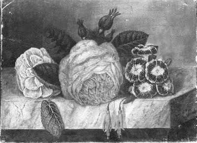 Diëgo Lopez Suasso, Bloemen
