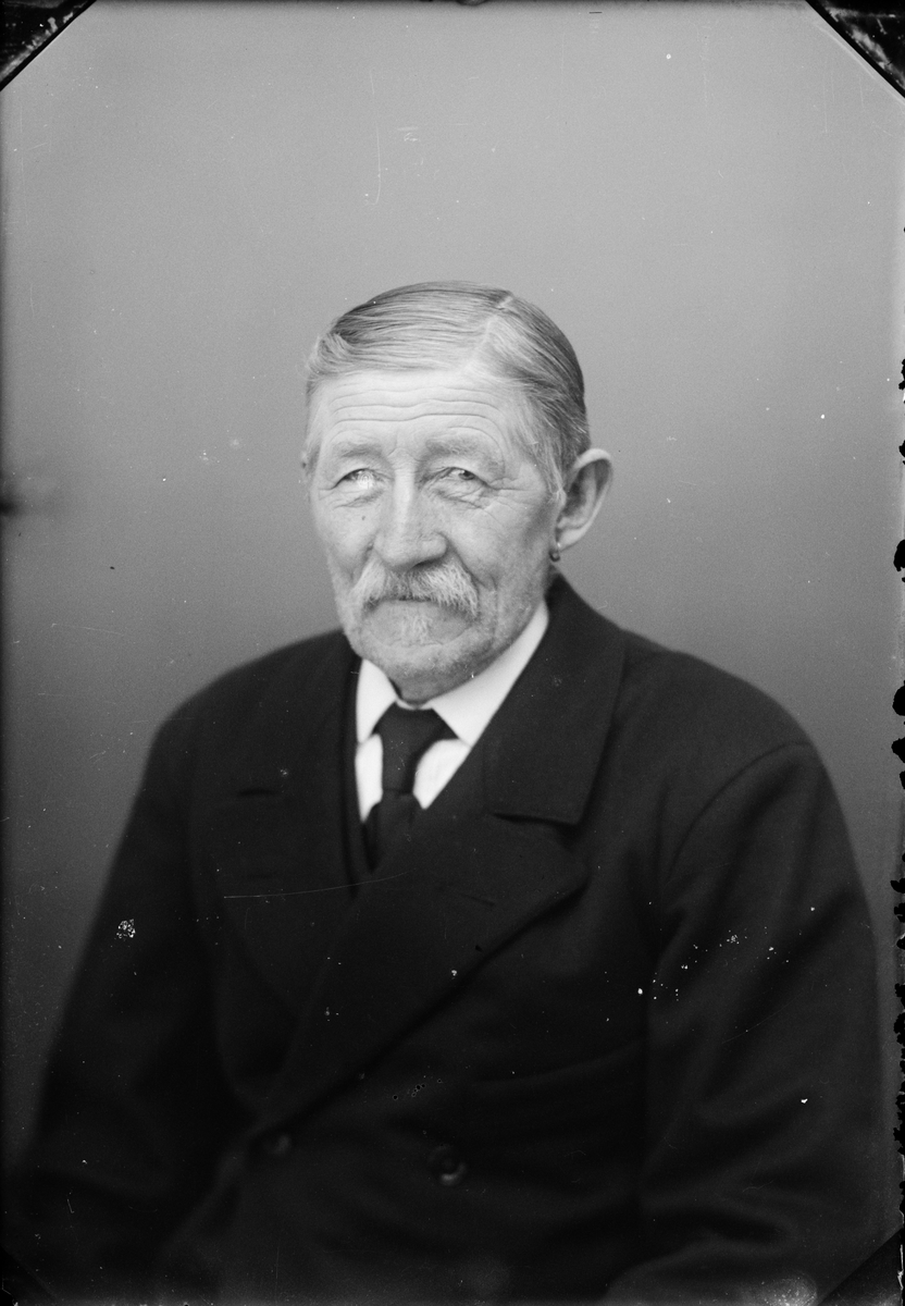 Skötsner-Edhlund, Ateljéporträtt - man, Östhammar, Uppland