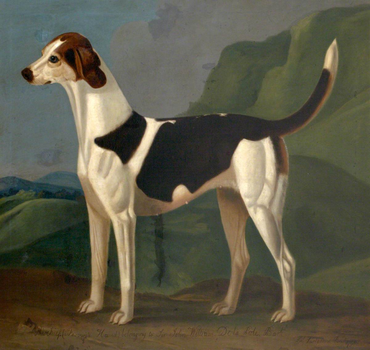 Francis Sartorius, 'Mischief', a Favourite Hound