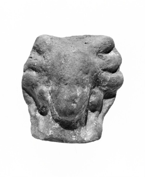 Unknown, Female Head