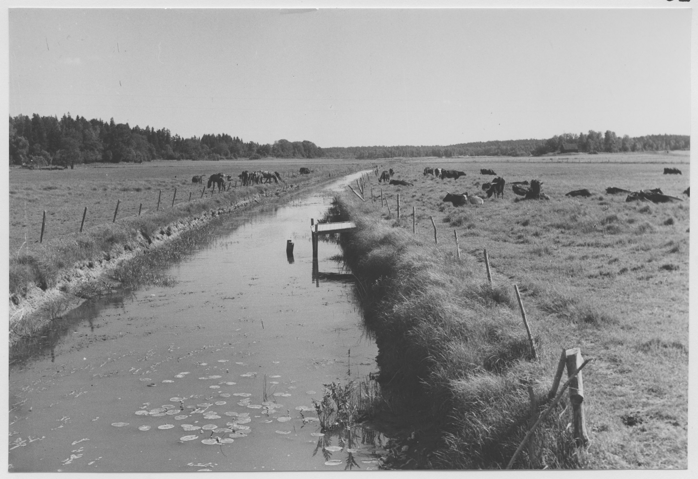 Mårten Sjöbeck, Älvgärde