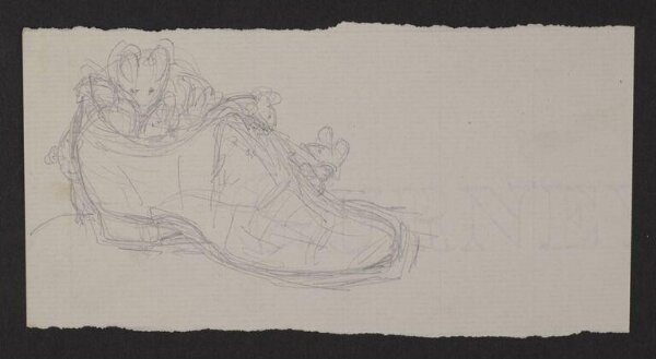 Potter, Beatrix, drawing