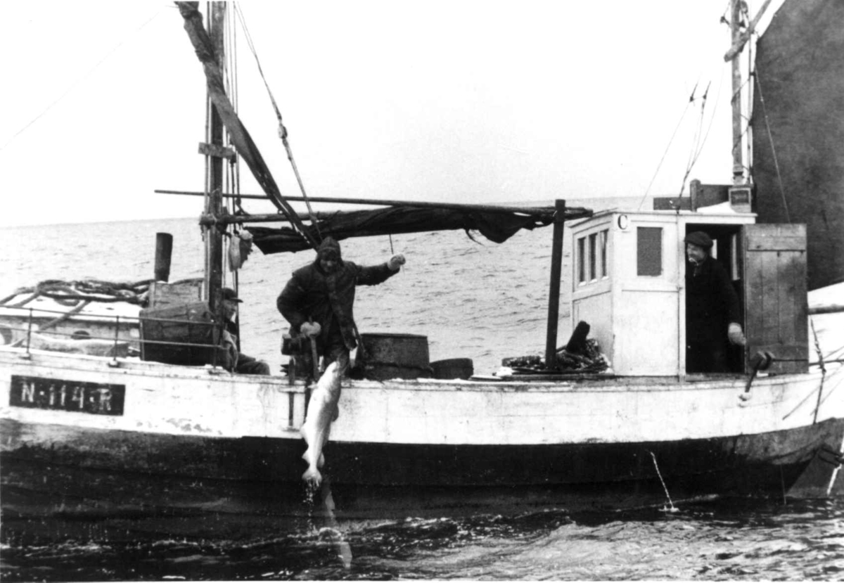 Anders Beer Wilse, Lofotfiske