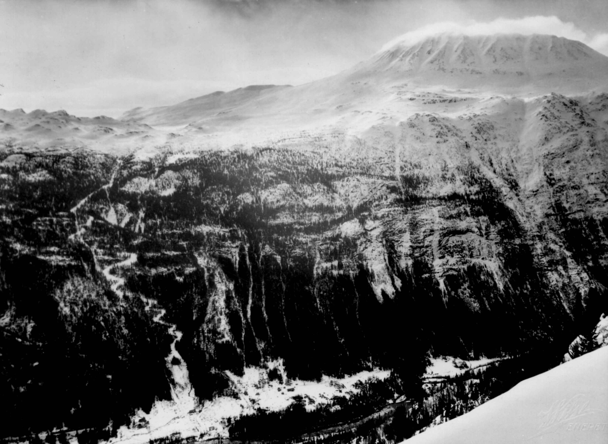 Anders Beer Wilse, Fjellside ved Gaustatoppen med skog og slalåmbakke i Vestfjorddalen.