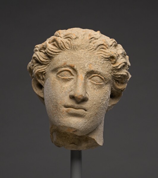 Unknown, Head of a Youth