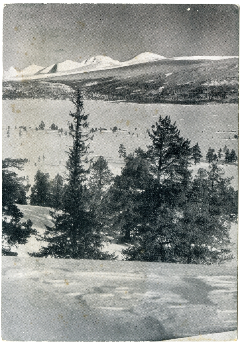 Anders Beer Wilse, Rondane