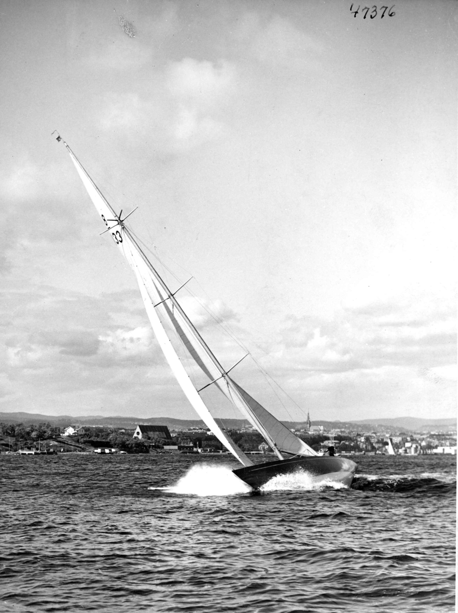 Anders Beer Wilse, Seilsport