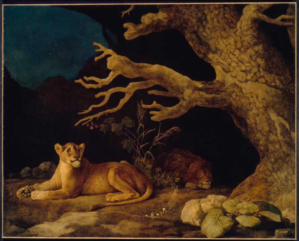 George Stubbs, Lion and Lioness