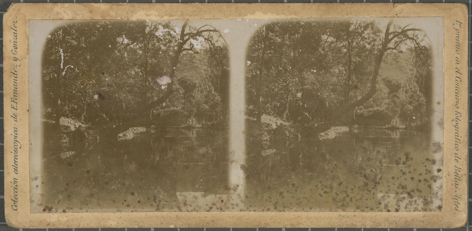 Desconegut, [Wings of a river] Fernandez Gonzalez, E
