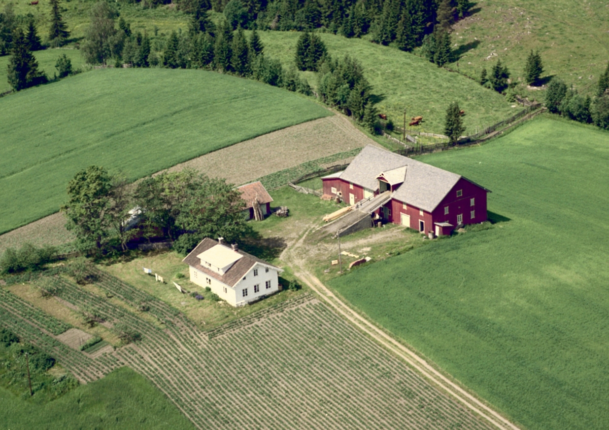 Widerøes Flyveselskap A/S, FLYFOTO NYSTUEN GARD. Kaldsveen (Gnr 0415-35/1). Budorvegen 276-278. Navnet Nystuen er oppført i Økonomisk kartverk, men Matrikkelen benytter Kaldsveen. I Løtensboka staves navnet Kalsveen