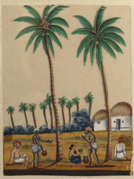 Unknown, A toddy-tapper