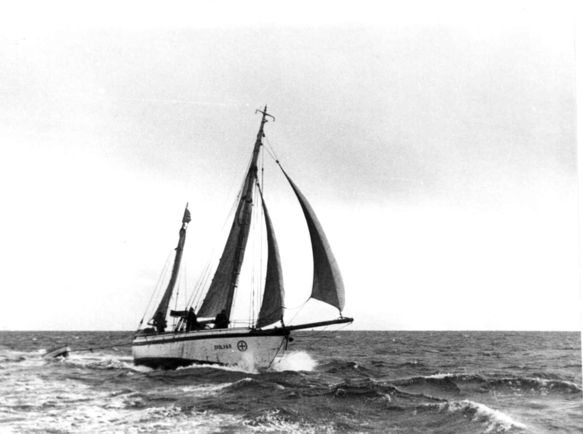 Anders Beer Wilse, Lofotfiske
