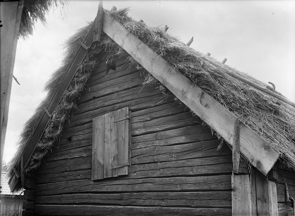 Paul Sandberg, Halmtak på uthus i Norrby, Lagga socken, Uppland
