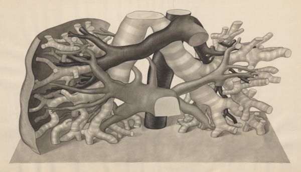 J Tinkelenberg, Lungs