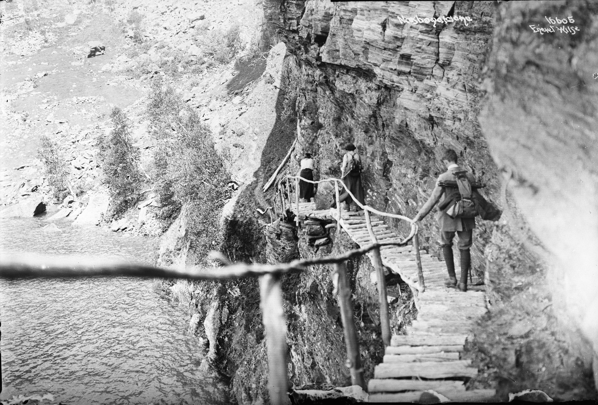Anders Beer Wilse, Prot: Finse Aurland Næbøgaldene