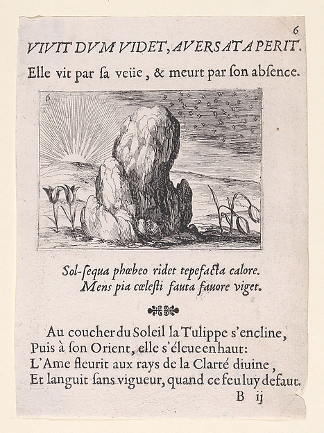 Jacques Callot, Les Tulipes et le Soleil (The Tulips and the Sun), plate 6 from "Lux Claustri ou La Lumière du Cloitre" (The Light of the Cloisters)