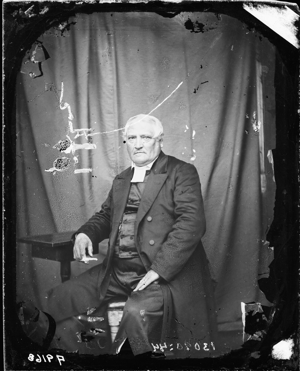 Carl Curman, Mansporträtt