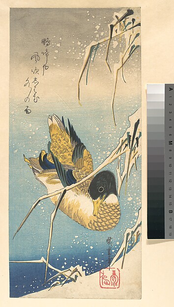 Utagawa Hiroshige, Mallard Duck and Snow-covered Reeds