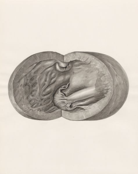 H.G Wetselaar, Heart