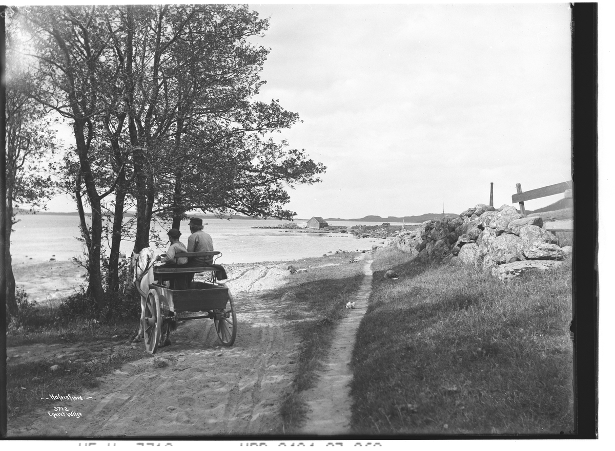 Anders Beer Wilse, Prot: Stavanger - Hafrsfjord med Veiparti 14/6 1905