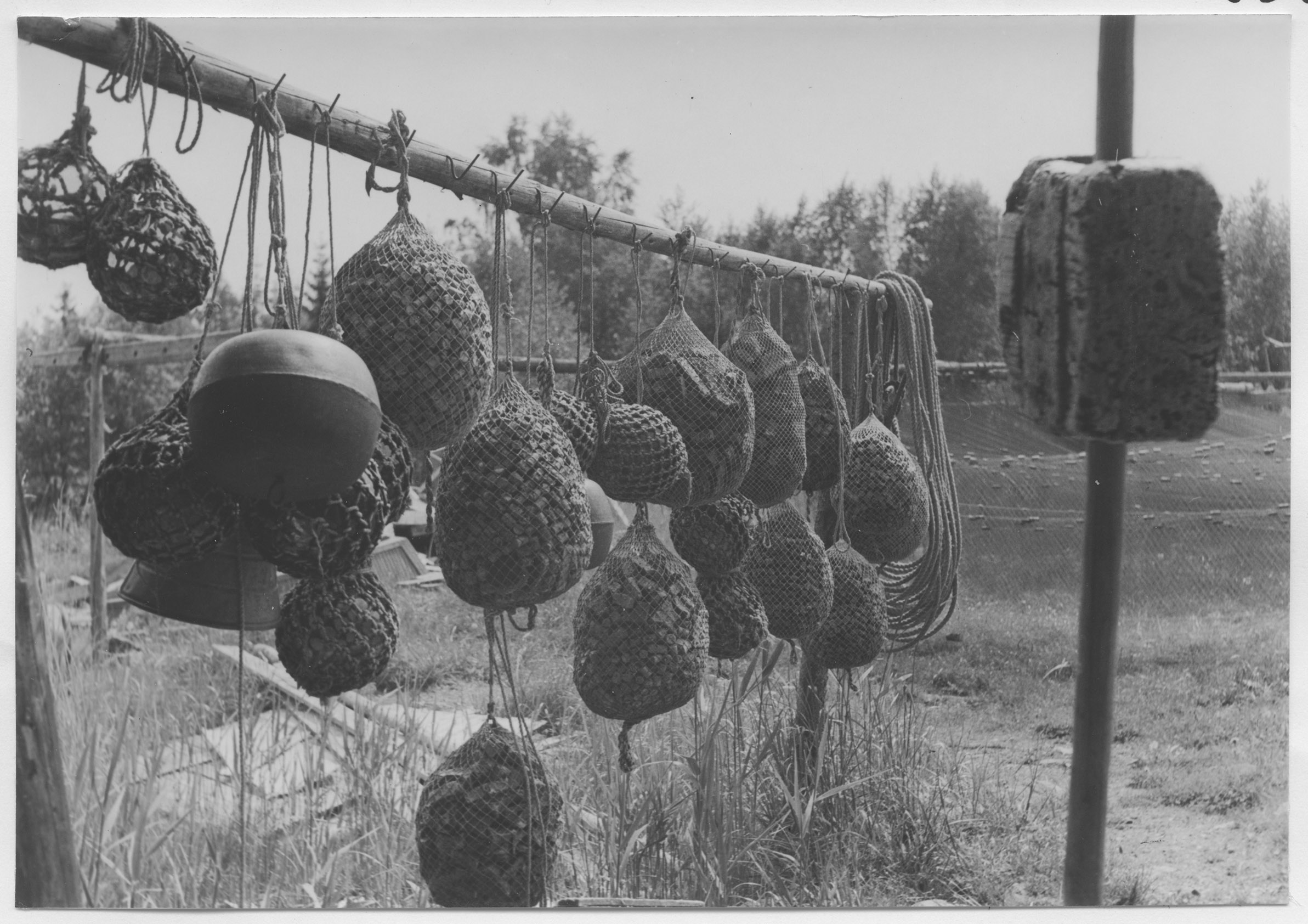 Mårten Sjöbeck, Gårdskär