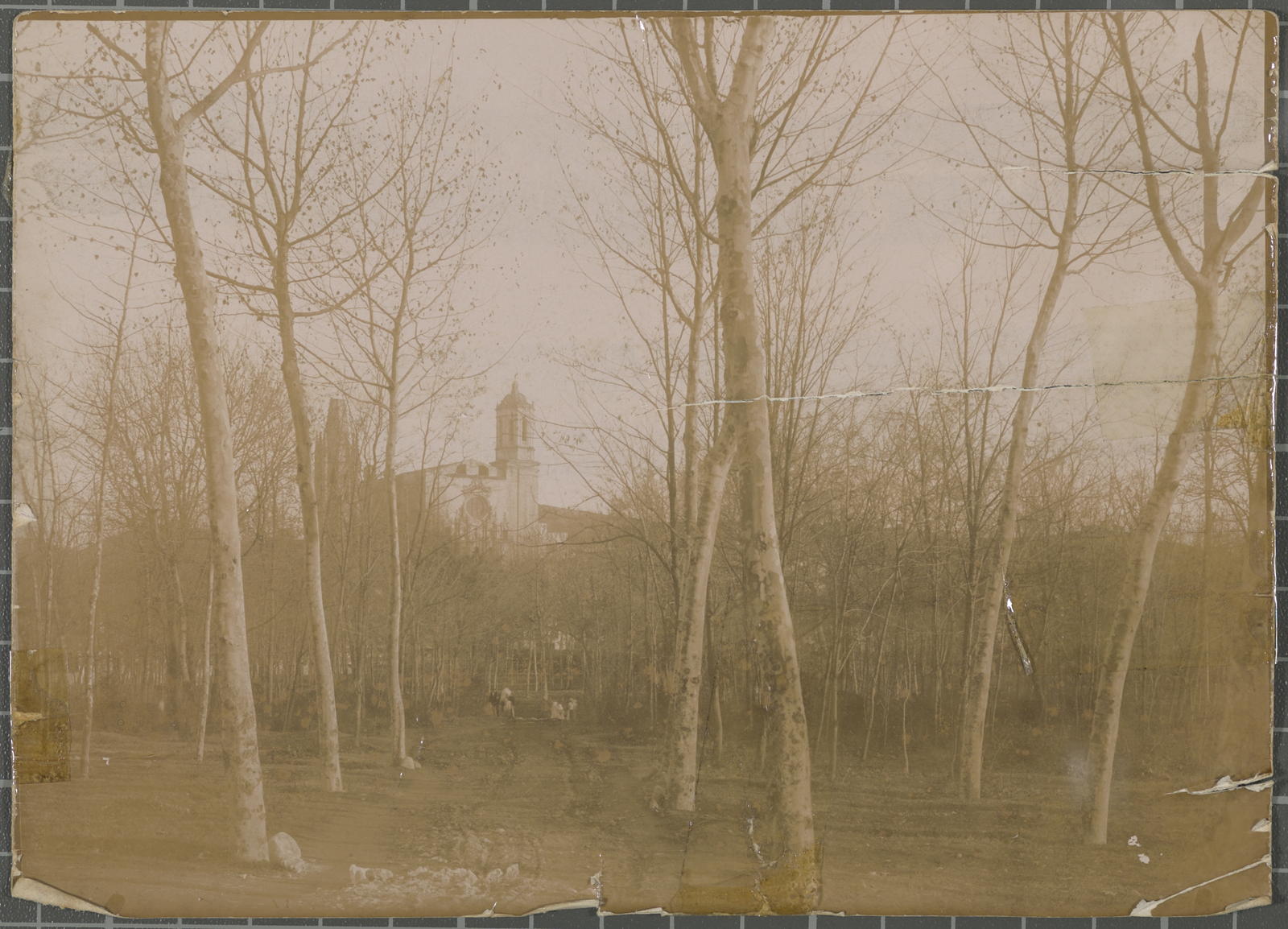 Desconegut, [The Meadow]