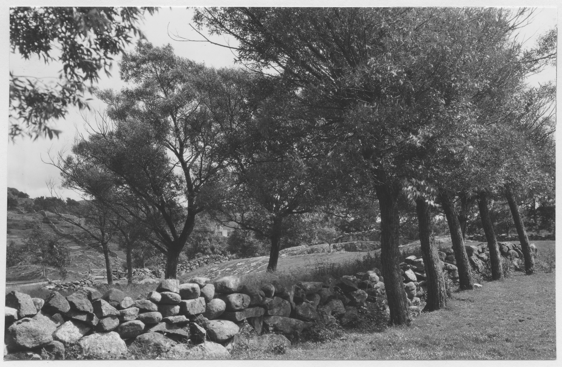 Mårten Sjöbeck, Bokenäs - halvön