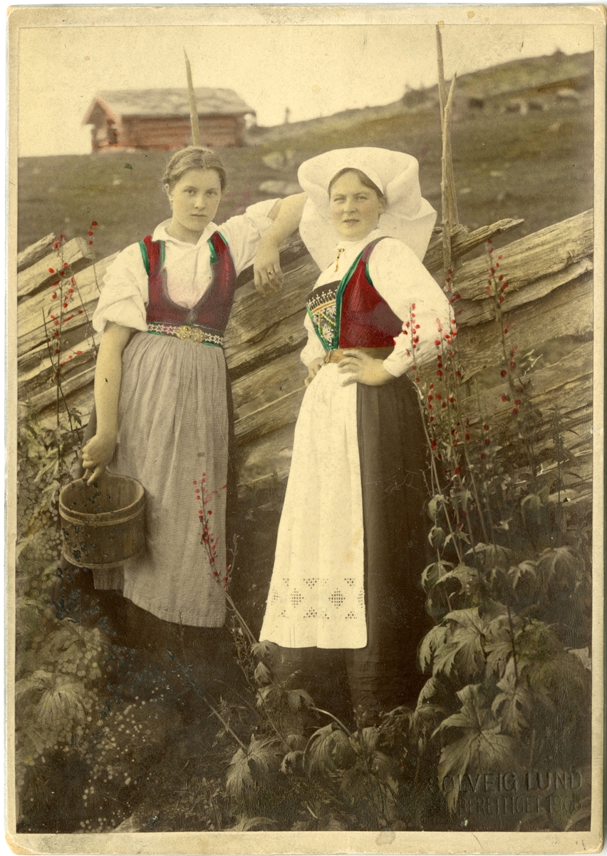 Solveig Lund, Kolorert fotografi av to kvinner med Hardangerdrakt foran et gjerde på seteren.