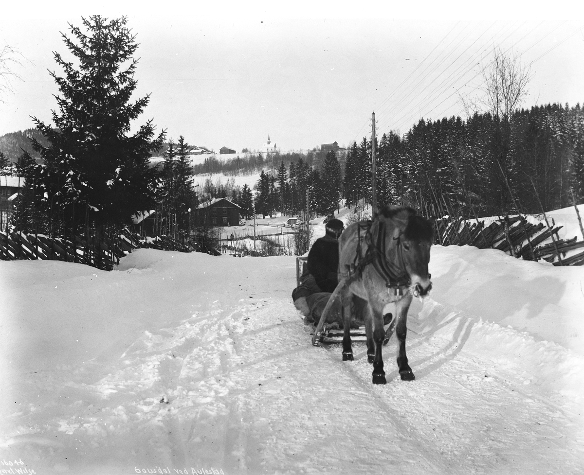 Anders Beer Wilse, Prot: Sarpsborg - Festiviteten og Sandesundveien 11. Juni 1902