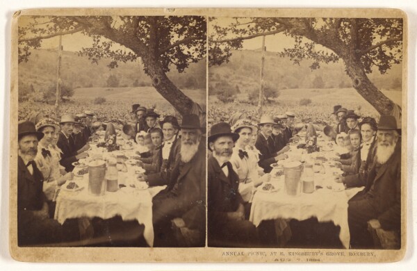 Unknown, Annual Picnic, at E. Kingsbury's Grove, Roxbury, Aug. 7, 1884.