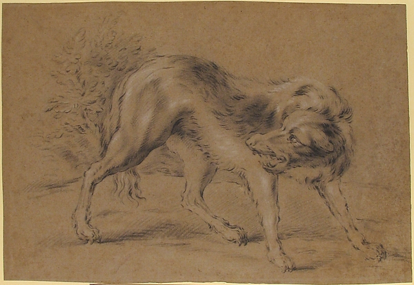 Jean-Baptiste Oudry, Angry Dog