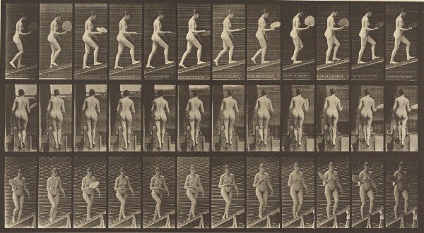 Eadweard J. Muybridge, Animal Locomotion
