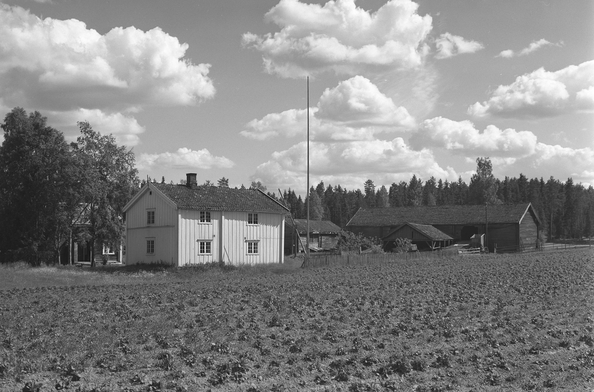 Anno Domkirkeodden, EKSTR: GARDSTUN, BÆKKEN, LØTENBAKKEN. Se Løtenboka, bind 3. Bygdeboka fra 1955, side 575