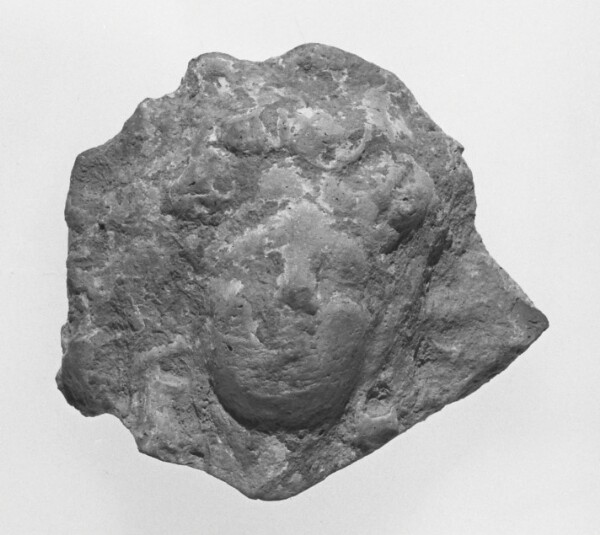 Unknown, Female Head