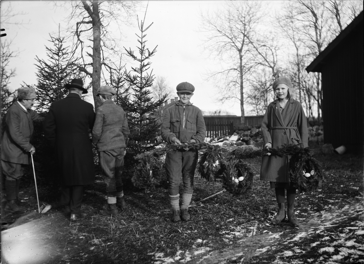 Paul Sandberg, Rekonstruktion av julgranar klädda med kransar och målade ägg, Knivsta socken, Uppland år 1935