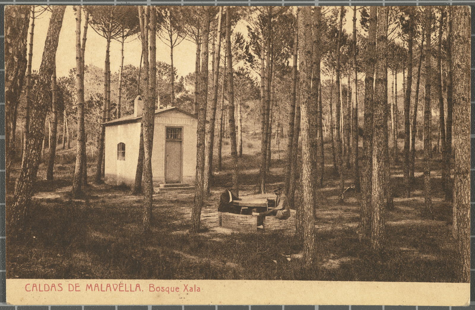 Josep Thomas Bigas, MALAVELLA CALDAS. Bosque Xala