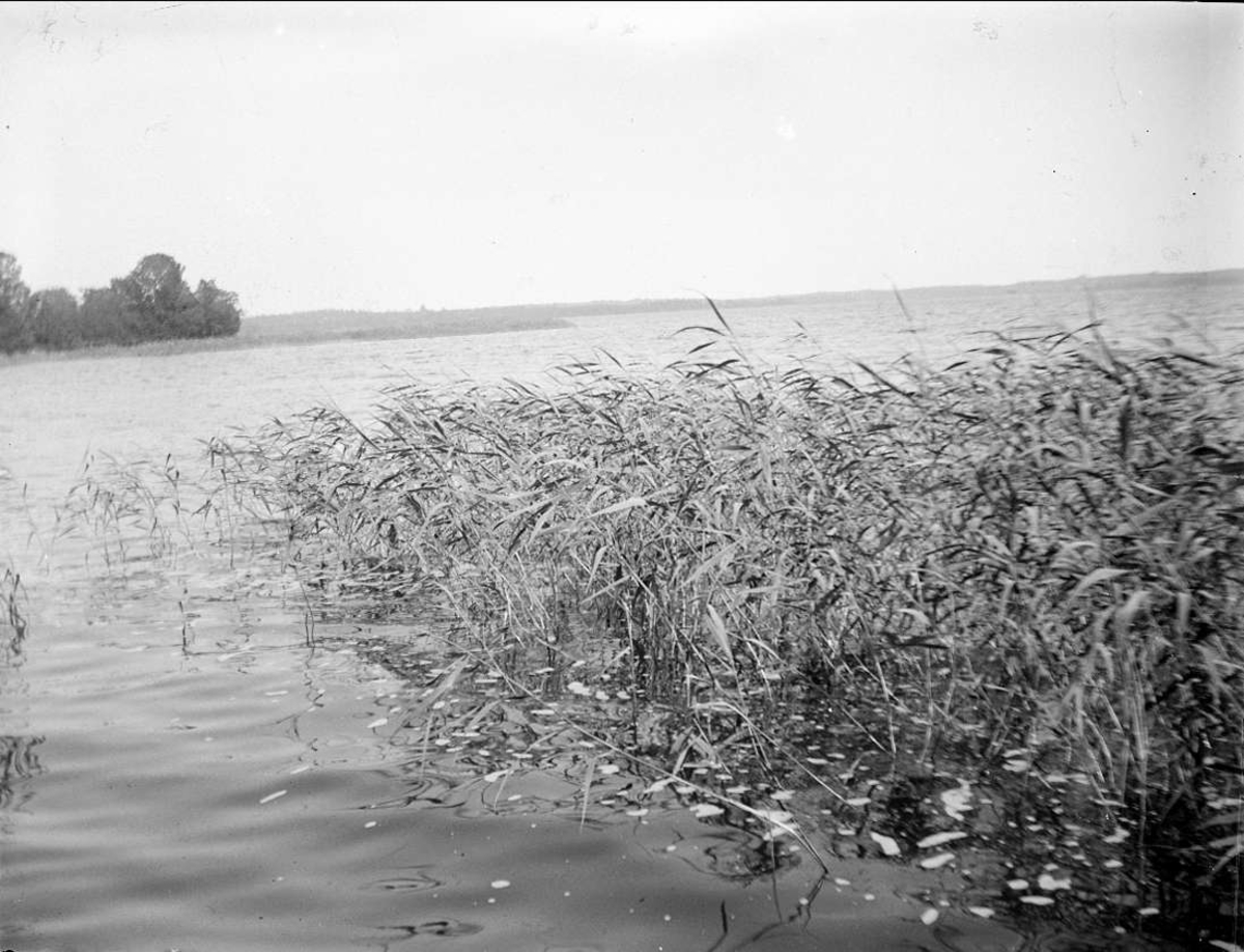 August Fredrik Schagerström, Sjön Limmaren vid Mellingeholm, Frötuna socken, Uppland 1927