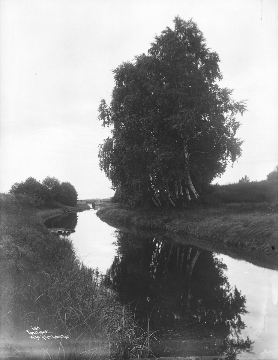 Anders Beer Wilse, Prot: Askerlandet - Bjerker ved Holmen Juli 1902