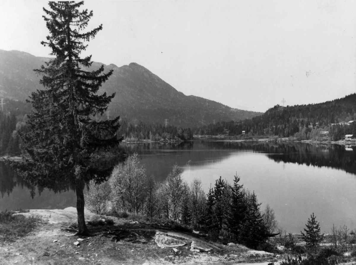 Anders Beer Wilse, Vatnarvann, Oversiktsbilde